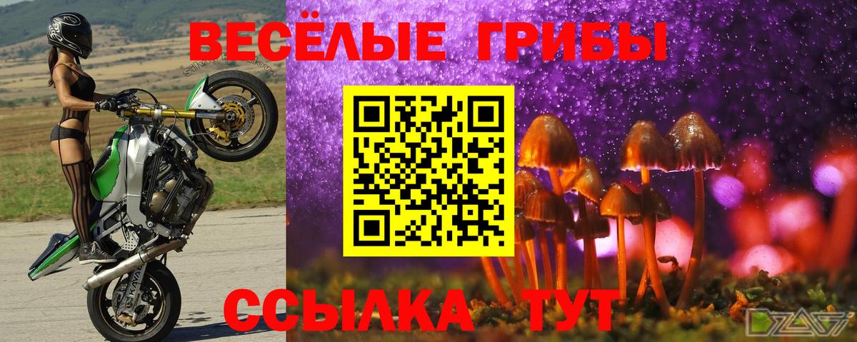 Галлюциногенные грибы Magic Shrooms Советский