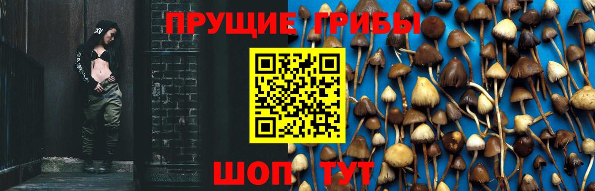 наркота  Псилоцибиновые грибы GOLDEN TEACHER  Советский  Вход с VPN  Галлюциногенные грибы прущие грибы 